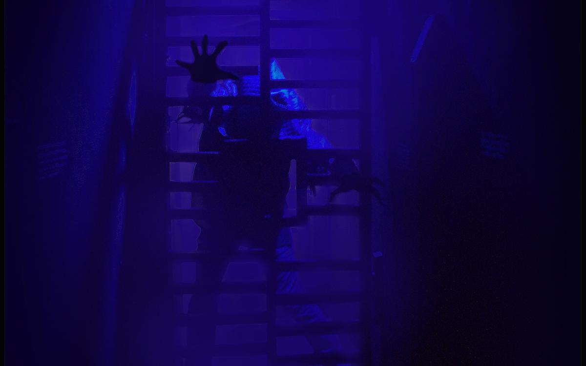 перформанс Истории мистера Хампа в Томске